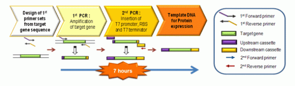 ExiProgenProXpressPCRTemplatekit