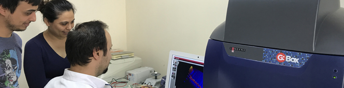 GeneSys, gen plaza, syngene, gbox XRQ, in-vivo, invivo imaging, small animal imaging, Syngene, gen plaza, gbıx, F3, bio imaging, Biyo görüntüleme, in-vivo, invivo, small animal imaging, canlı hayvan görüntüleme, biyoteknoloji