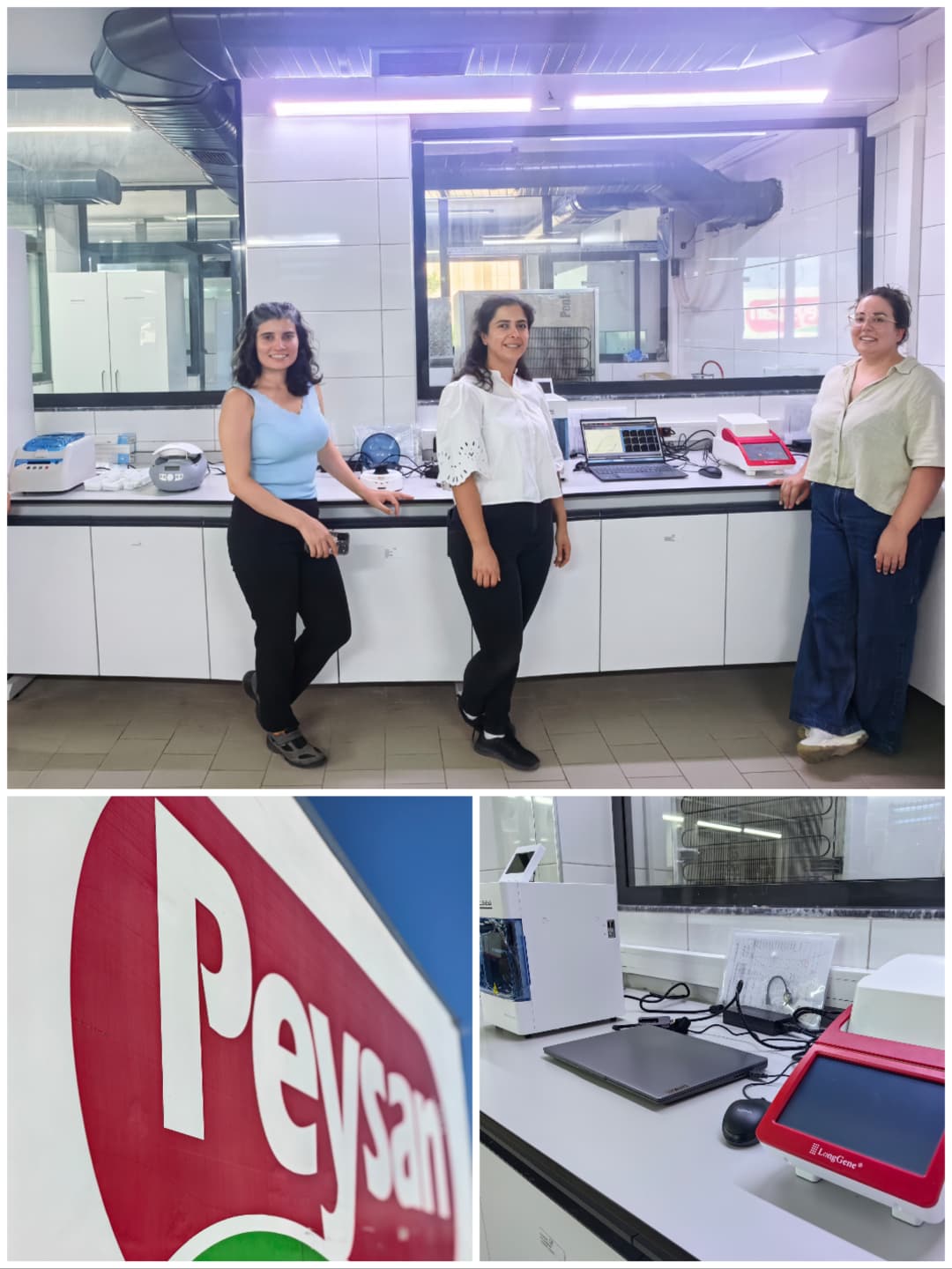 moleküler labı, gen, gen plaza, gen plaza biyoteknoloji, gen plaza biotech, biotechnology, ankara, turkiye, turkey, türkiye, Pcr, Pcr labı, real time Pcr labı kurulumu, RT-PCR labı, anahtar teslim pcr laboratuvarı, genotiplendirme, ette tür, sütte tür tayini, gdo tespit kiti, gmo tespit kiti, Pcr kiti, rt-pcr kiti